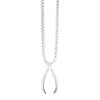 Minted New York Wishbone Pendant + Chain