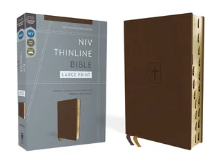 ChurchSource NIV, Thinline Bible, Large Print, Red Letter, Comfort Print (Leathersoft™, Thumb Index)